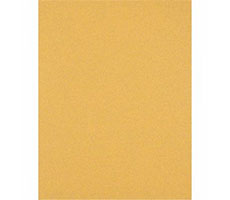 Hoja lija madera Expert; 230X280mm, grano 220